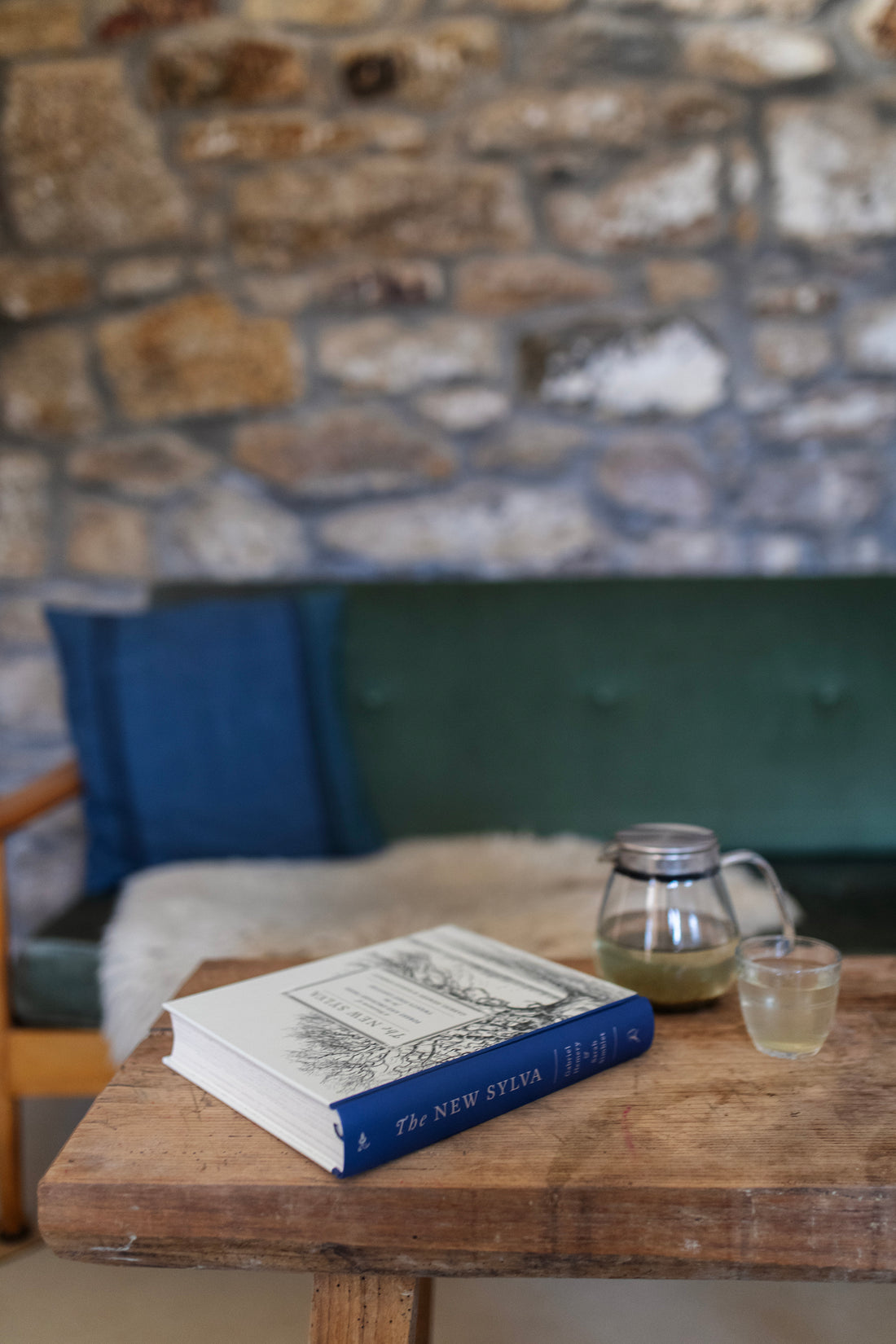 The New Sylva A Discourse of Forest and Orchard Trees for the Twenty