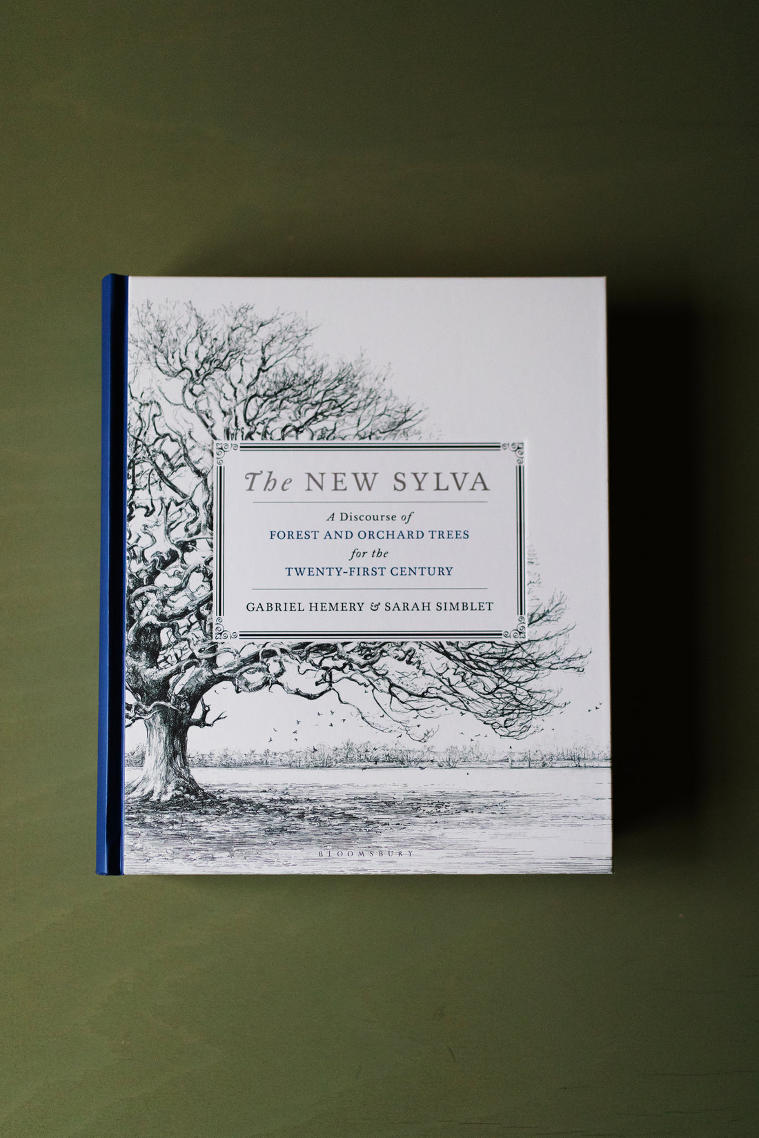 The New Sylva - A Discourse of Forest and Orchard Trees for the Twenty-First Century