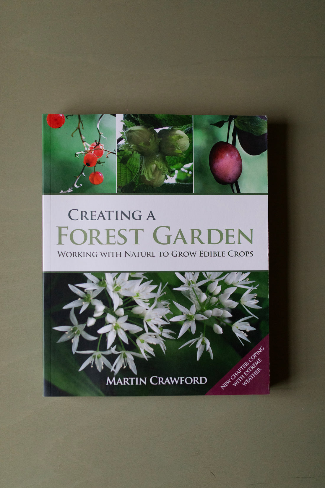 Creating a Forest Garden - Working with Nature to Grow Edible Crops