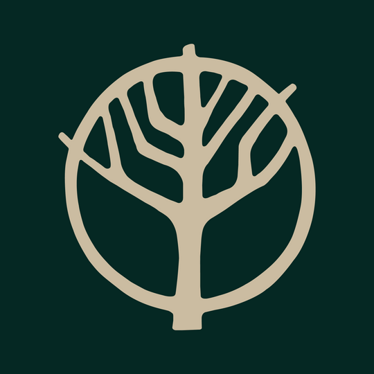 Discover From trees